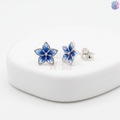 925 Sterling Silver Star Ear Studs | BlissWish